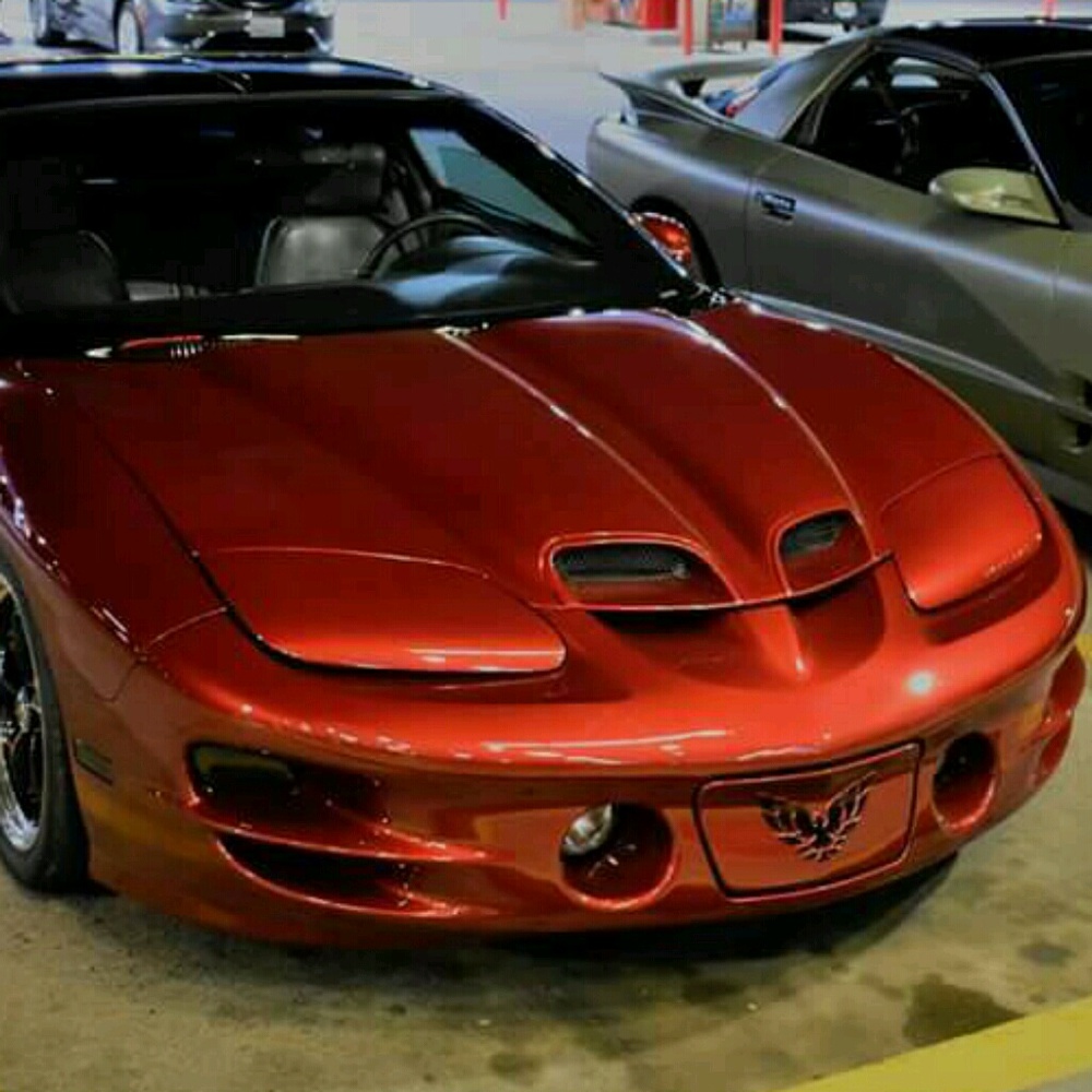 Meet your Posher, Brian